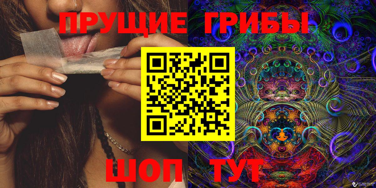 Галлюциногенные грибы прущие грибы  Псилоцибиновые грибы Cubensis  Вход с VPN  Киселёвск 