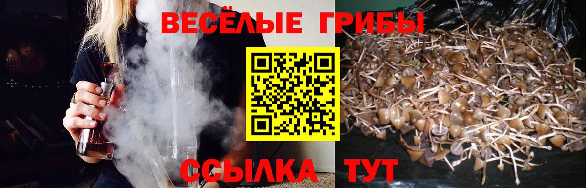 Псилоцибиновые грибы GOLDEN TEACHER Киселёвск